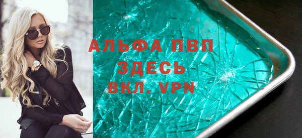 сатива Алзамай