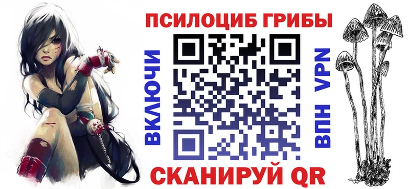 Галлюциногенные грибы Psilocybine cubensis  цены   Югорск 
