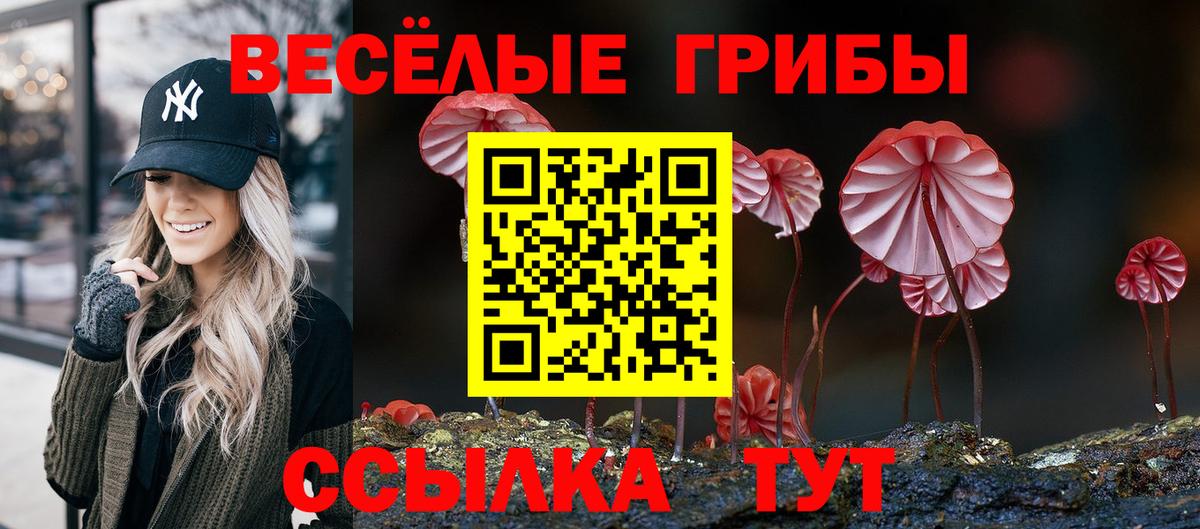 Галлюциногенные грибы прущие грибы  Вход с VPN  Югорск  Псилоцибиновые грибы Magic Shrooms 